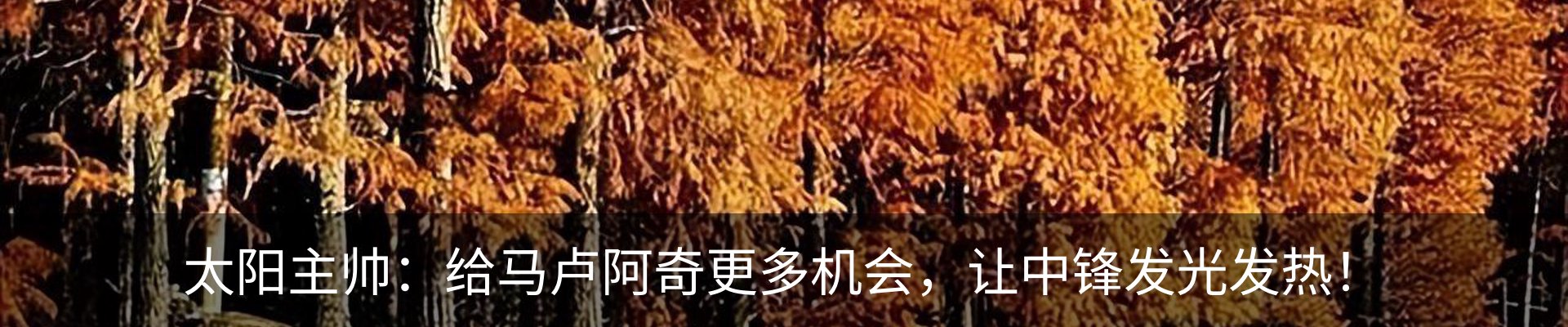 行业资讯